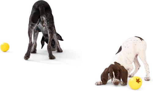 Show full view: West Paw Rumbl Bouncy Ball Dog Toy, Dandelion Yellow, Small slide 7 of 11