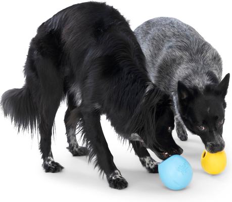 Show full view: West Paw Rumbl Bouncy Ball Dog Toy, Dandelion Yellow, Small slide 9 of 11