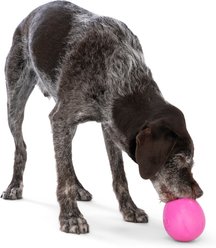 West Paw Rumbl Bouncy Ball Dog Toy, Hot Pink, Large slide 2 of 9