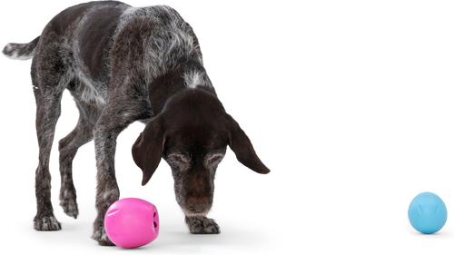 Show full view: West Paw Rumbl Bouncy Ball Dog Toy, Hot Pink, Small slide 6 of 8
