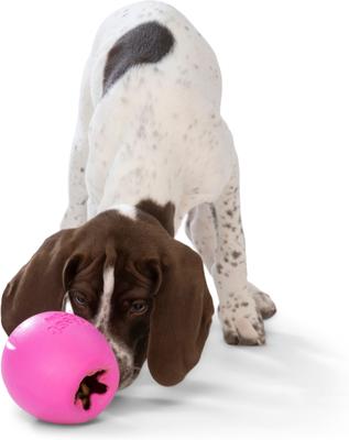 Show full view: West Paw Rumbl Bouncy Ball Dog Toy, Hot Pink, Small slide 4 of 8