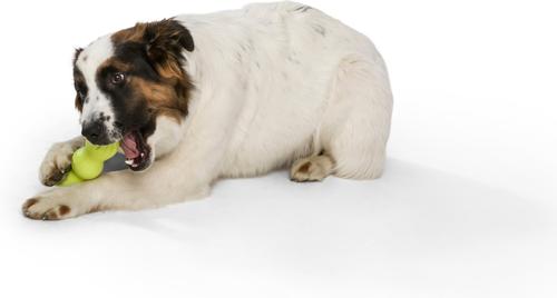 Show full view: West Paw Rumpus Medium Tough Dog Chew Toy, Blue slide 3 of 7