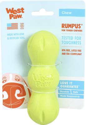 Show full view: West Paw Rumpus Small Tough Dog Chew Toy, Green slide 5 of 7