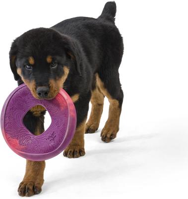 Show full view: West Paw Sailz Dog Fetch Toy, Large, Hibiscus slide 2 of 3