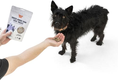 Show full view: West Paw Single Ingredient Beef Liver Freeze-Dried Dog Treats, 2.5-oz bag slide 5 of 7