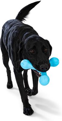 Show full view: West Paw Skamp Tough Dog Chew Toy, Aqua Blue, Large: 8.5-in slide 4 of 7