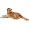 Show in main carousel: West Paw Skamp Tough Dog Chew Toy, Aqua Blue, Large: 8.5-in slide 6 of 7