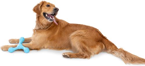 Show full view: West Paw Skamp Tough Dog Chew Toy, Aqua Blue, Large: 8.5-in slide 6 of 7