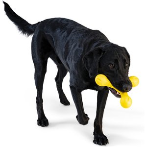 West Paw Skamp Tough Dog Chew Toy, Dandelion Yellow, Large: 8.5-in