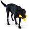 Show in main carousel: West Paw Skamp Tough Dog Chew Toy, Dandelion Yellow, Large: 8.5-in slide 4 of 7