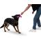 Show in main carousel: West Paw Skamp Tough Dog Chew Toy, Hot Pink, Large: 8.5-in slide 9 of 11