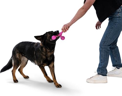 Show full view: West Paw Skamp Tough Dog Chew Toy, Hot Pink, Large: 8.5-in slide 9 of 11
