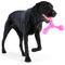 Show in main carousel: West Paw Skamp Tough Dog Chew Toy, Hot Pink, Large: 8.5-in slide 10 of 11