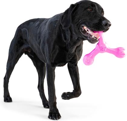 Show full view: West Paw Skamp Tough Dog Chew Toy, Hot Pink, Large: 8.5-in slide 10 of 11