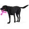 Show in main carousel: West Paw Skamp Tough Dog Chew Toy, Hot Pink, Large: 8.5-in slide 8 of 11