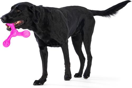 Show full view: West Paw Skamp Tough Dog Chew Toy, Hot Pink, Large: 8.5-in slide 8 of 11