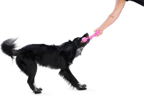 Show full view: West Paw Skamp Tough Dog Chew Toy, Hot Pink, Large: 8.5-in slide 5 of 11