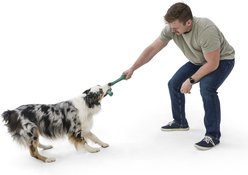 West Paw Snorkl Dog Chew Toy, Large, Emerald slide 2 of 5