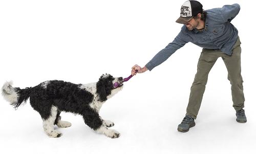 Show full view: West Paw Snorkl Dog Chew Toy, Large, Hibiscus slide 2 of 5