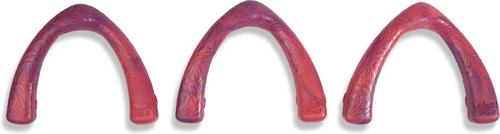 Show full view: West Paw Snorkl Dog Chew Toy, Large, Hibiscus slide 4 of 5