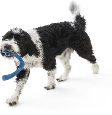 Show full view: West Paw Snorkl Dog Chew Toy, Large, Surf slide 2 of 5