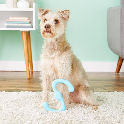 Show full view: West Paw Zogoflex Bumi Dog Toy, Aqua Blue, Large slide 2 of 9