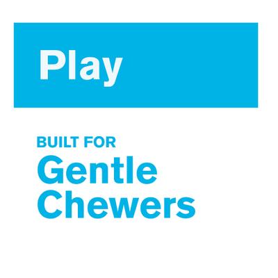 Show full view: West Paw Zogoflex Bumi Dog Toy, Aqua Blue, Large slide 5 of 9