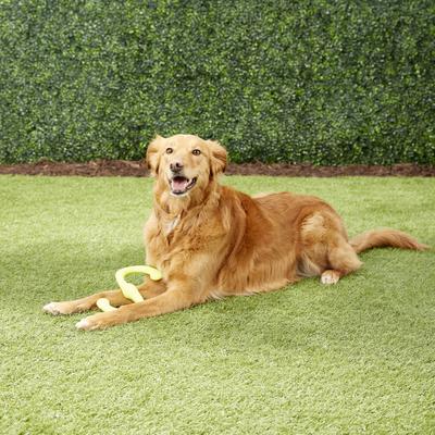 Show full view: West Paw Zogoflex Bumi Dog Toy, Granny Smith, Small slide 4 of 8