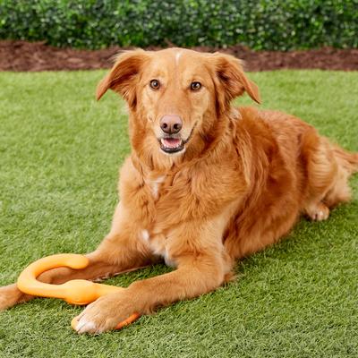 Show full view: West Paw Zogoflex Bumi Dog Toy, Tangerine, Large slide 5 of 9