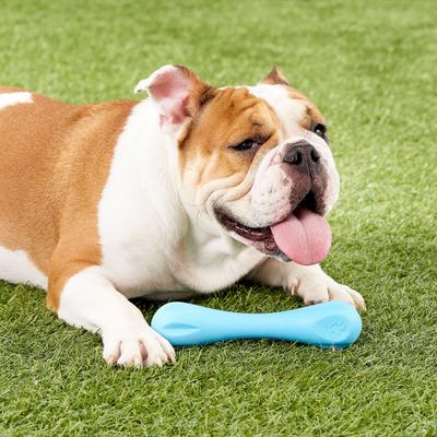 Show full view: West Paw Zogoflex Hurley Tough Dog Chew Toy, Aqua Blue, Large slide 2 of 10