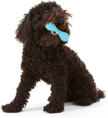 Show full view: West Paw Zogoflex Hurley Tough Dog Chew Toy, Aqua Blue, Large slide 3 of 10
