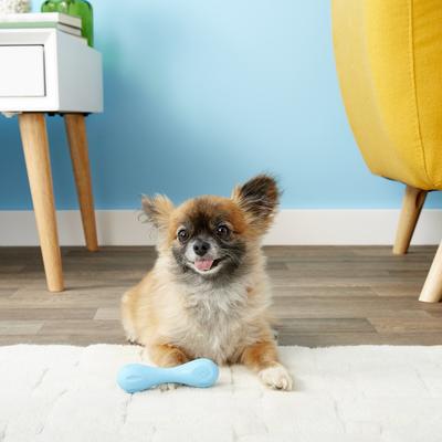 Show full view: West Paw Zogoflex Hurley Tough Dog Chew Toy, Aqua Blue, Mini slide 3 of 11