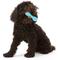 Show in main carousel: West Paw Zogoflex Hurley Tough Dog Chew Toy, Aqua Blue, Mini slide 7 of 11