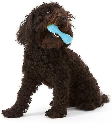 Show full view: West Paw Zogoflex Hurley Tough Dog Chew Toy, Aqua Blue, Mini slide 7 of 11
