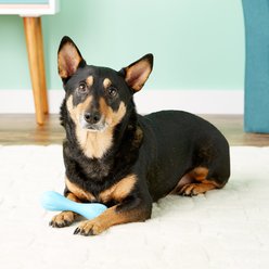 West Paw Zogoflex Hurley Tough Dog Chew Toy, Aqua Blue, Small slide 2 of 7