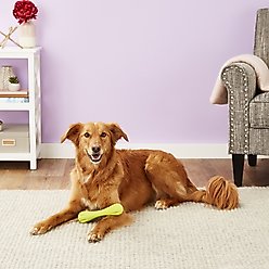 West Paw Zogoflex Hurley Tough Dog Chew Toy, Granny Smith, Large slide 2 of 7