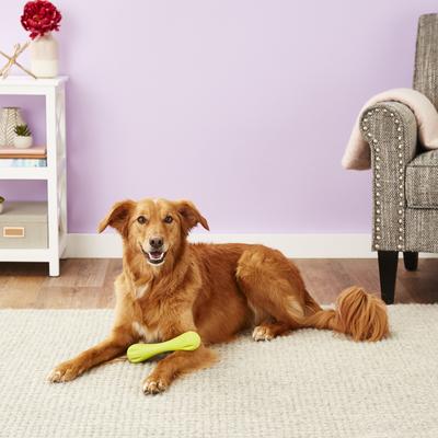 Show full view: West Paw Zogoflex Hurley Tough Dog Chew Toy, Granny Smith, Large slide 2 of 10