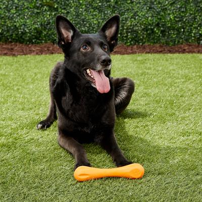 Show full view: West Paw Zogoflex Hurley Tough Dog Chew Toy, Tangerine, Large slide 4 of 10