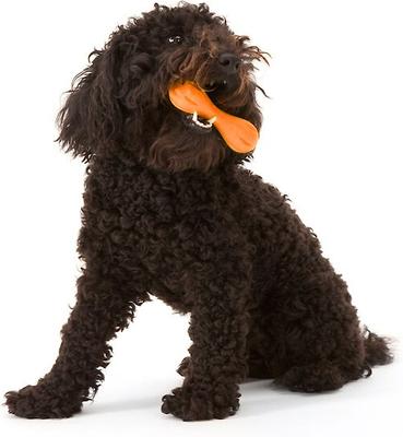 Show full view: West Paw Zogoflex Hurley Tough Dog Chew Toy, Tangerine, X-Small slide 7 of 12