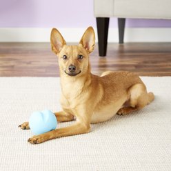 West Paw Zogoflex Jive Tough Ball Dog Toy, Aqua Blue, Large slide 2 of 7
