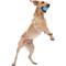 Show in main carousel: West Paw Zogoflex Jive Tough Ball Dog Toy, Aqua Blue, Large slide 6 of 10
