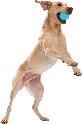 Show full view: West Paw Zogoflex Jive Tough Ball Dog Toy, Aqua Blue, Large slide 6 of 10