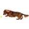 Show in main carousel: West Paw Zogoflex Jive Tough Ball Dog Toy, Granny Smith, Small slide 6 of 9