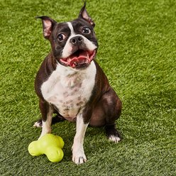 West Paw Zogoflex Large Tux Tough Treat Dispensing Dog Chew Toy, Granny Smith slide 2 of 6