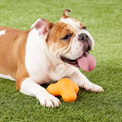 West Paw Zogoflex Large Tux Tough Treat Dispensing Dog Chew Toy, Tangerine slide 2 of 6