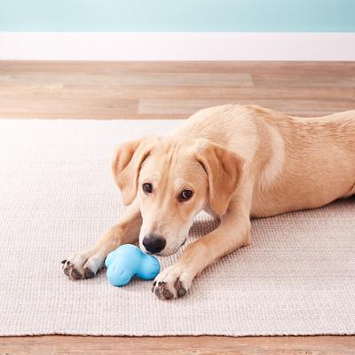 Show full view: West Paw Zogoflex Small Tux Tough Treat Dispensing Dog Chew Toy, Aqua Blue slide 6 of 9