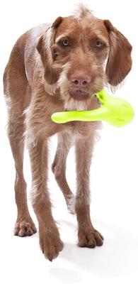 Show full view: West Paw Zogoflex Tizzi Treat Dispensing Dog Chew Toy, Granny Smith, Large slide 7 of 11