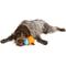 Show in main carousel: West Paw Zogoflex Toppl Tough Treat Dispensing Dog Chew Toy, Aqua Blue, Large slide 6 of 11