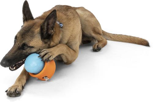 Show full view: West Paw Zogoflex Toppl Tough Treat Dispensing Dog Chew Toy, X-Large, 4.75-in, Tangerine slide 5 of 11