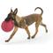 Show in main carousel: West Paw Zogoflex Zisc Flying Disc Dog Toy, Ruby Red, Small slide 2 of 5